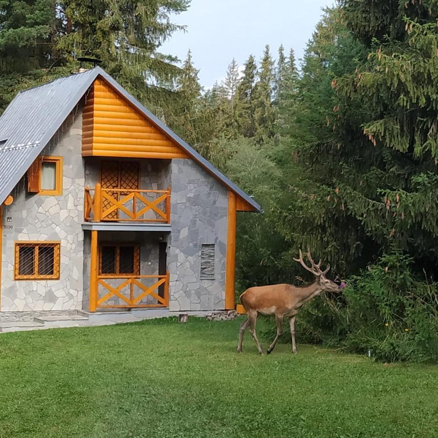 Chata Tatry Tatranska Strba Exteriör bild